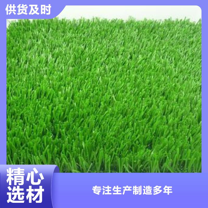 人造草坪塑胶跑道高品质现货销售
