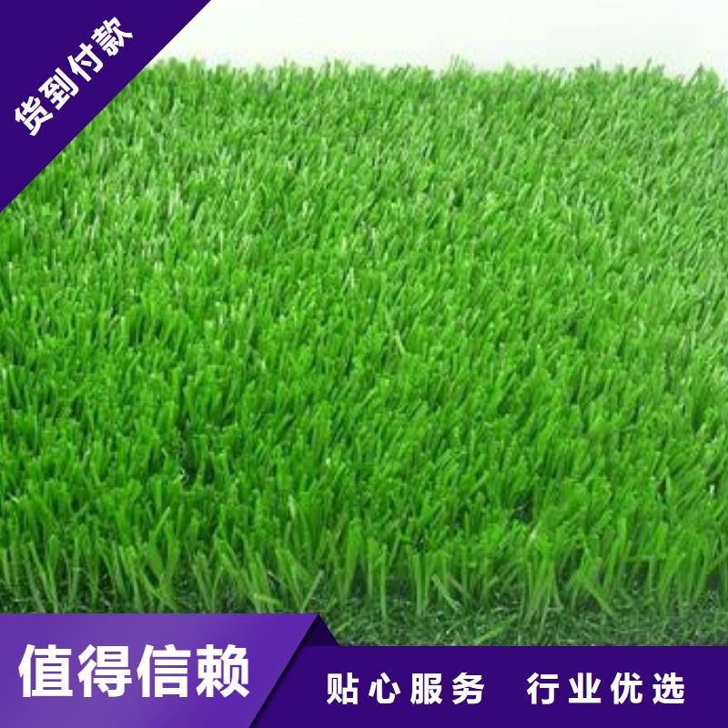 【人造草坪】同质透心地材支持定制贴心售后 中清思宇科技(鞍山市分公司)