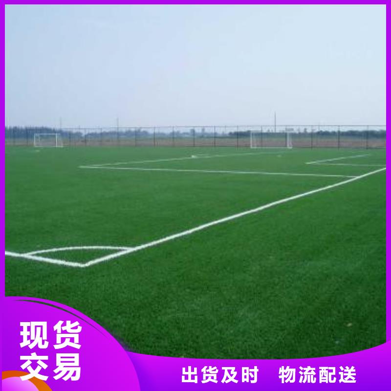 【人造草坪】同质透心地材支持定制贴心售后 中清思宇科技(鞍山市分公司)