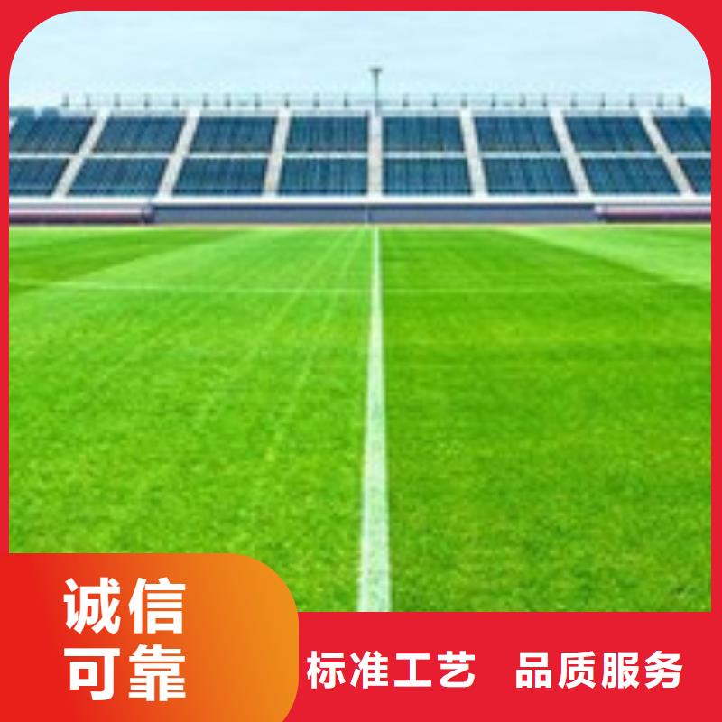 人造草坪室内运动地板品质之选