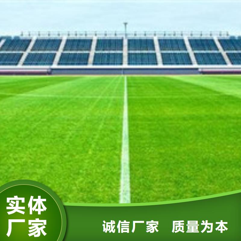 人造草坪_橡胶跑道买的放心
