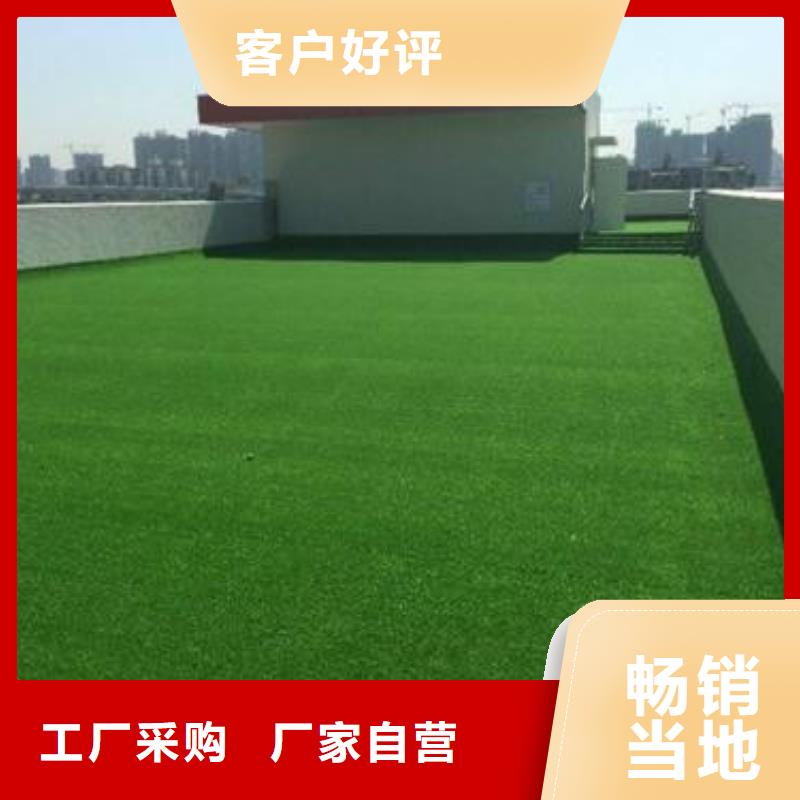 人造草坪-室外塑胶跑道优选厂商