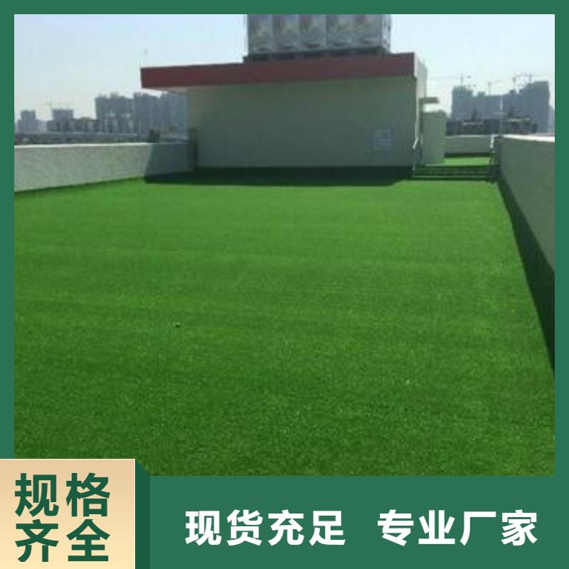 塑胶跑道视频-河南省驻马店市中清思宇塑胶跑道可服务区域汝南|正阳|鹤壁|南阳|焦作|三门峡|信阳等