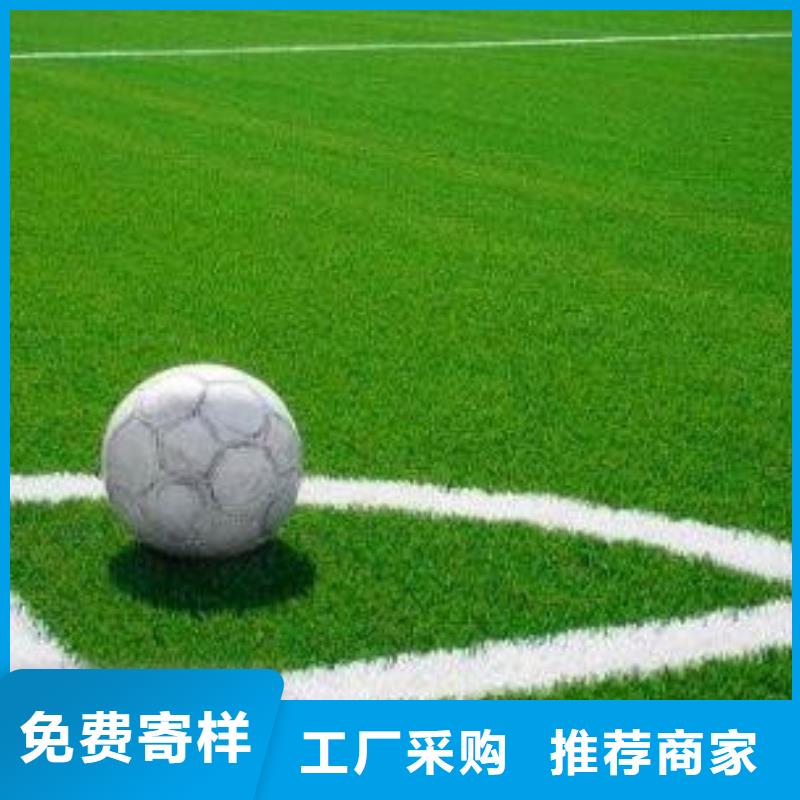 塑胶跑道视频-塑胶跑道-辽宁省鞍山市台安|千山|丹东|朝阳|阜新|铁岭【周边】供应商