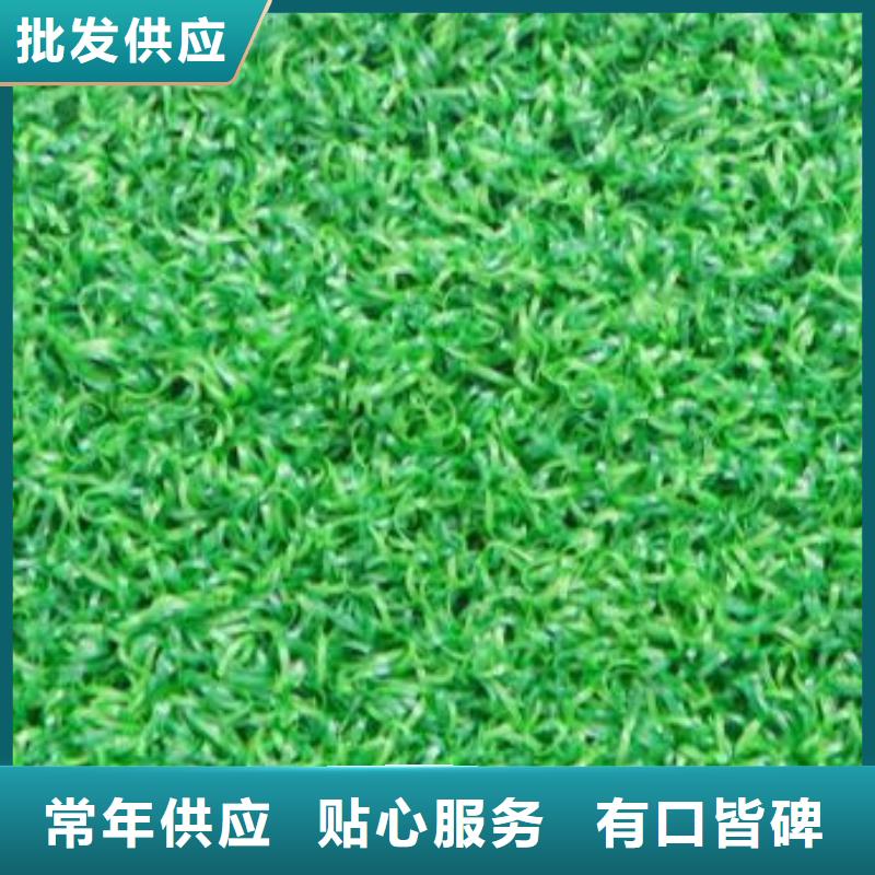【人造草坪】同质透心地材支持定制贴心售后 中清思宇科技(鞍山市分公司)