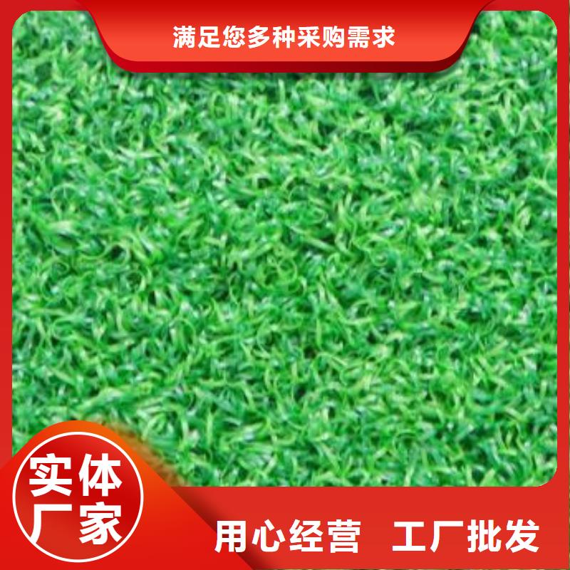 人造草坪硅PU排球场精益求精