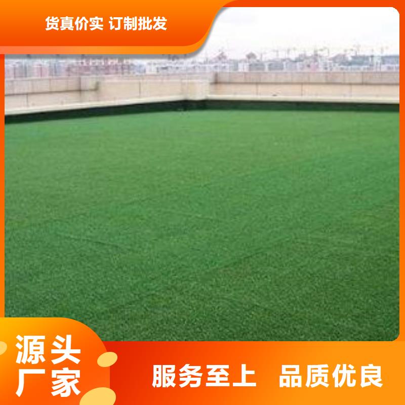 塑胶跑道视频-塑胶跑道-内蒙古乌海市(该地)厂家-阿拉善|通辽|锡林郭勒|乌兰察布|赤峰|包头