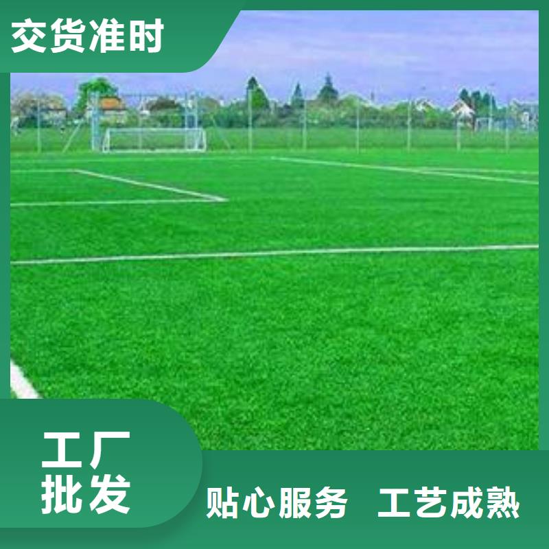 塑胶跑道视频-河南省驻马店市中清思宇塑胶跑道可服务区域汝南|正阳|鹤壁|南阳|焦作|三门峡|信阳等