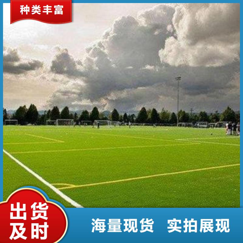 塑胶跑道视频-河南省驻马店市中清思宇塑胶跑道可服务区域汝南|正阳|鹤壁|南阳|焦作|三门峡|信阳等