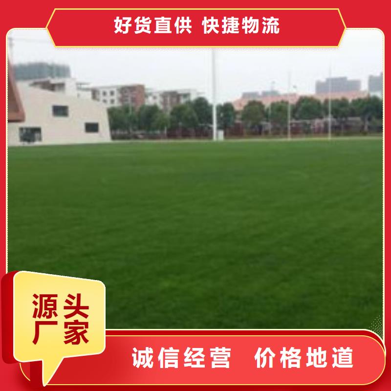 塑胶跑道视频-河南省驻马店市中清思宇塑胶跑道可服务区域汝南|正阳|鹤壁|南阳|焦作|三门峡|信阳等