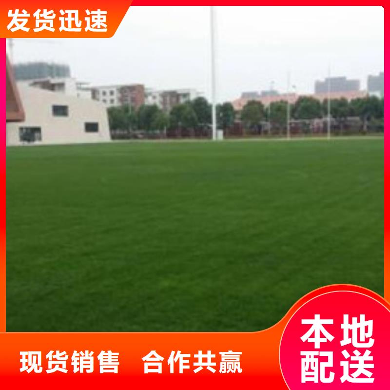 人造草坪塑胶跑道高品质现货销售