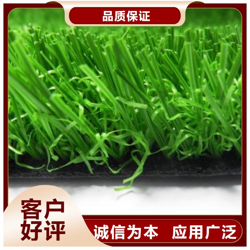 塑胶跑道视频-塑胶跑道-内蒙古乌海市(该地)厂家-阿拉善|通辽|锡林郭勒|乌兰察布|赤峰|包头
