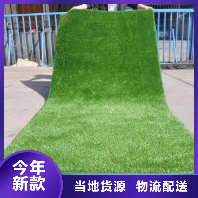 【人造草坪】同质透心地材支持定制贴心售后 中清思宇科技(鞍山市分公司)