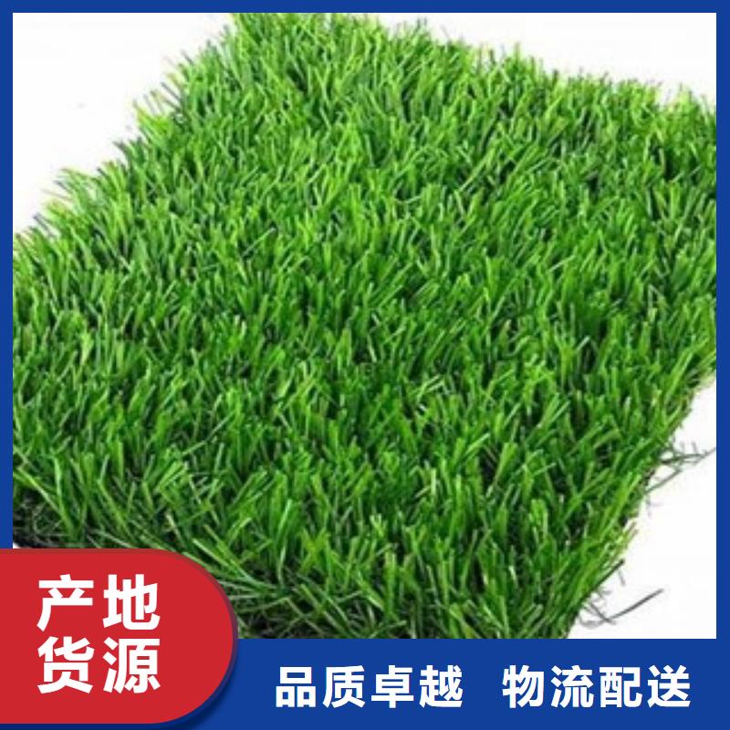 人造草坪塑胶跑道高品质现货销售