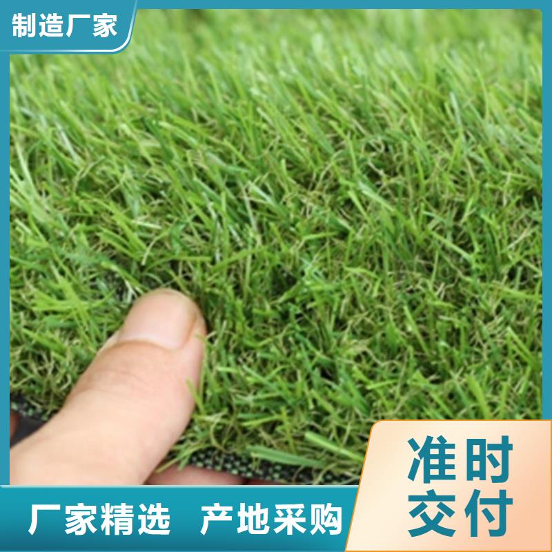 人造草坪塑胶跑道高品质现货销售