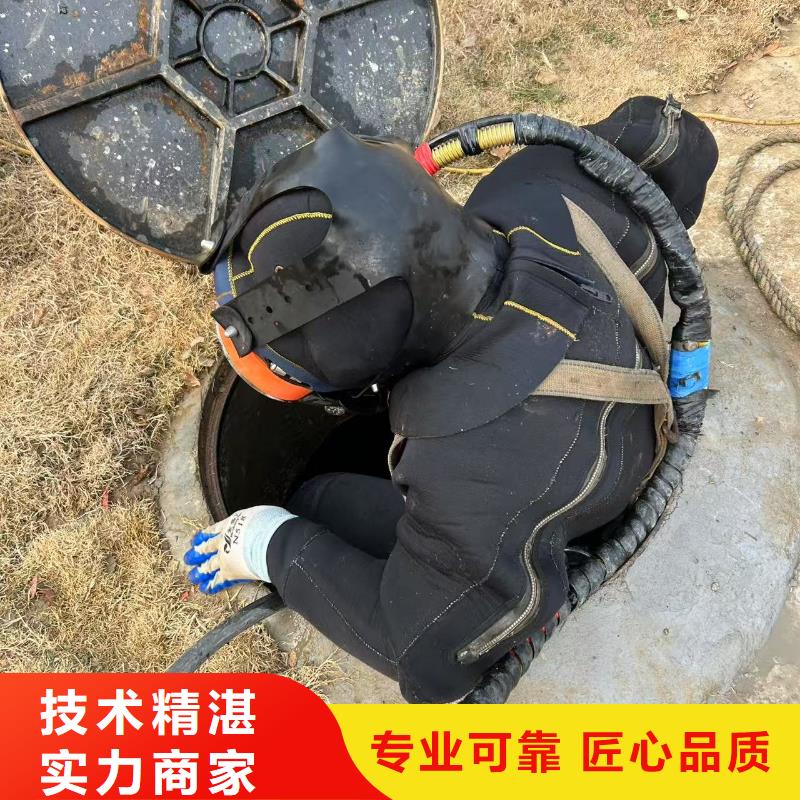潜水作业水下生物探测多领域覆盖