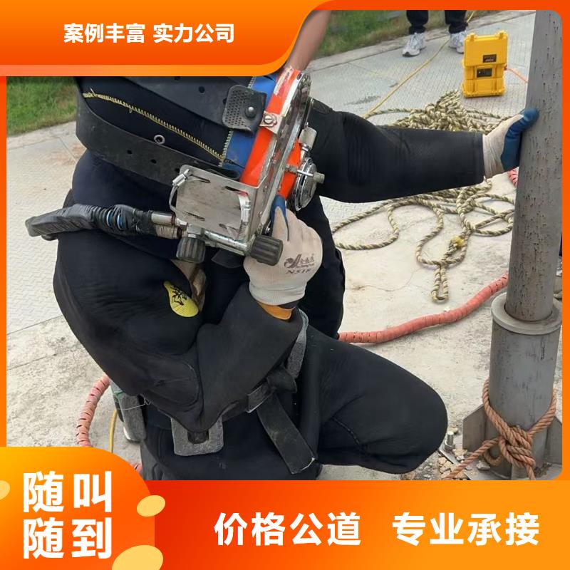 水下摄影专注、用心