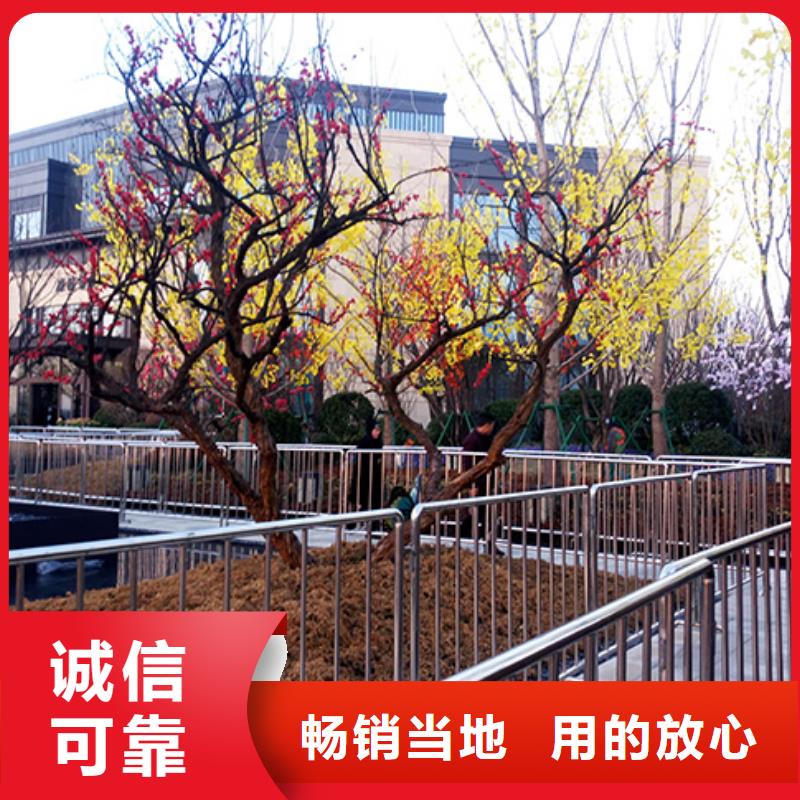 铁马护栏出租玻璃篷房出租专业可靠