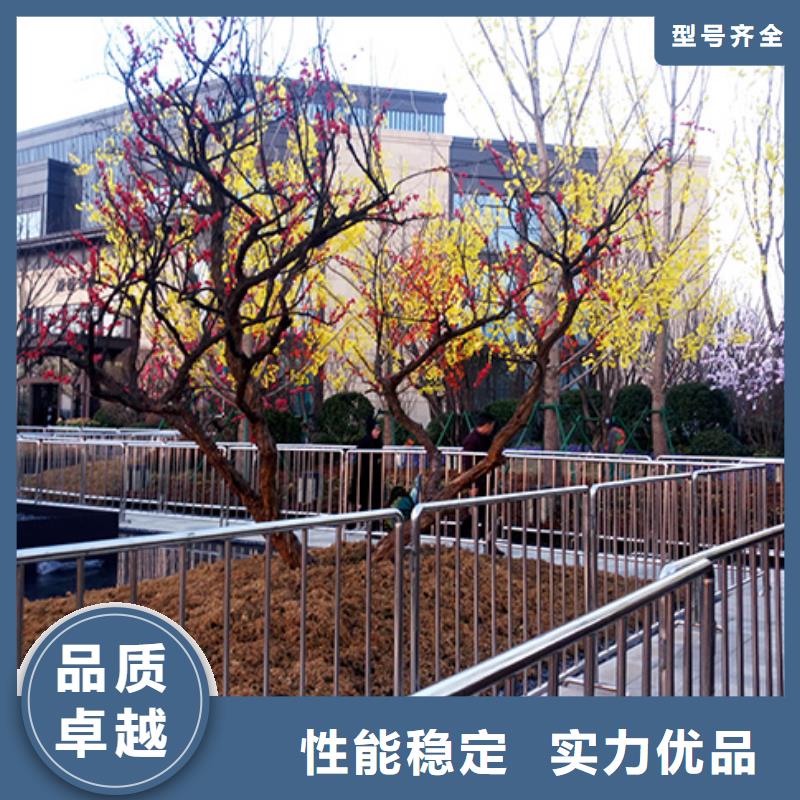 红色篷房租赁视频-班戈|索县|日喀则|山南|拉萨|阿里|昌都|林芝九州红色篷房租赁_ 九州婚庆宴会车展览篷房租赁出租展览 (那曲市分公司)