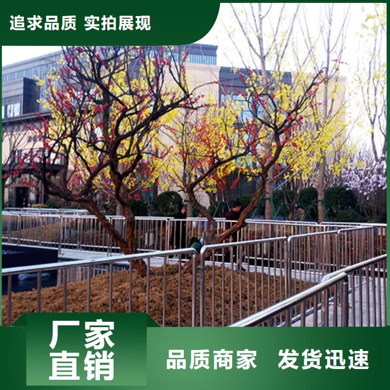 红色篷房租赁视频-红色篷房租赁|龙岩市|武平|永定|泉州|福州|宁德|三明|莆田