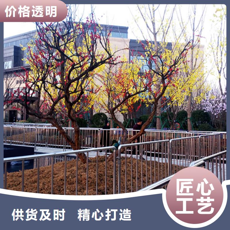 铁马护栏出租红色篷房出租2025专业的团队