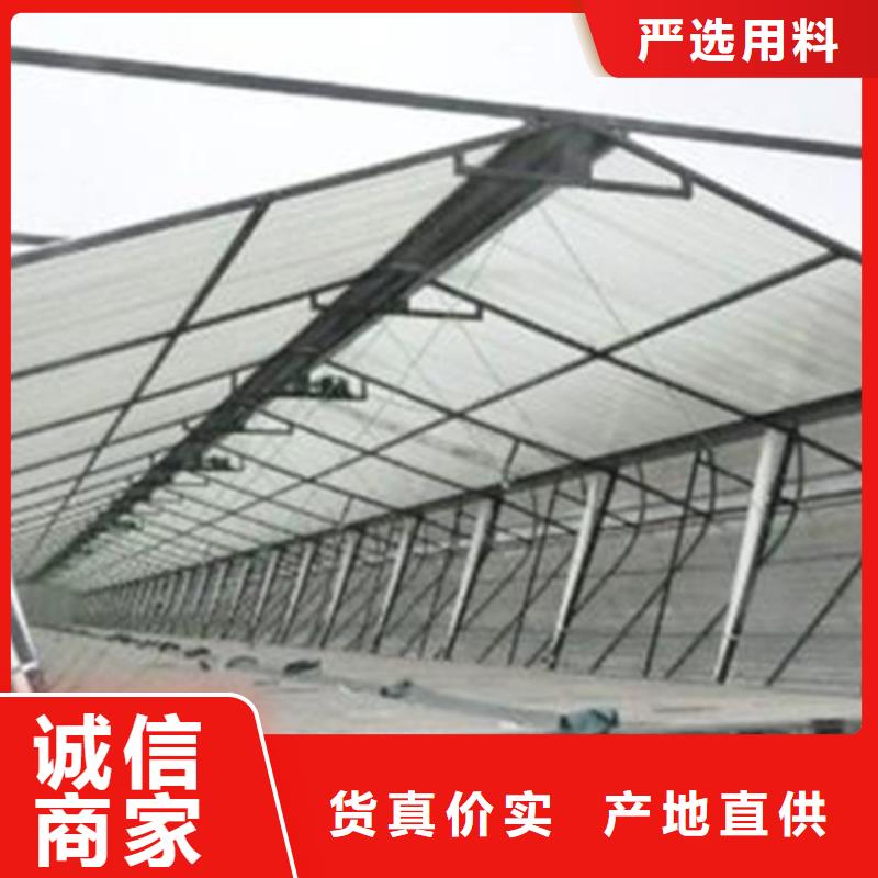 本地的5型通风天窗实体厂家