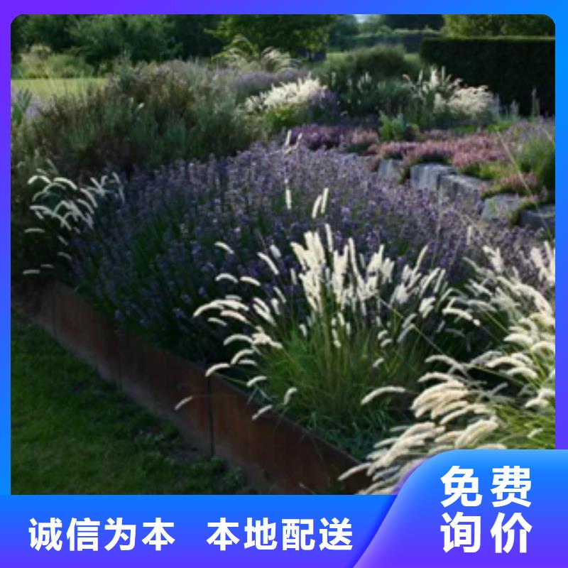 锈钢板厂家视频-绵阳市锈钢板厂家-【此地】可服务区域梓潼|安县|自贡|泸州|南充|眉山