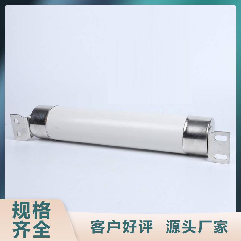 XRNP-24KV熔管高压保险丝熔断器