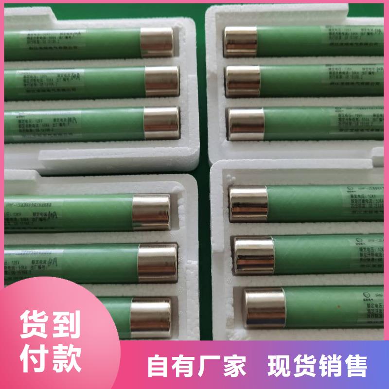 XRNP-24KV熔管高压保险丝熔断器