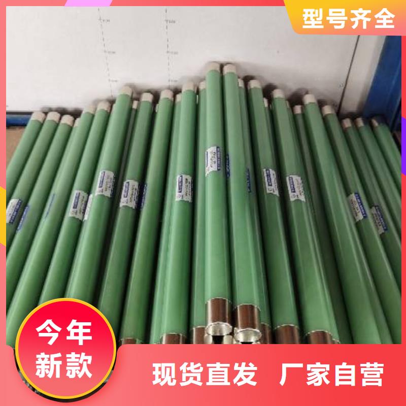 东方市XRNP-24KV/0.5A1A熔管高压保险丝熔断器