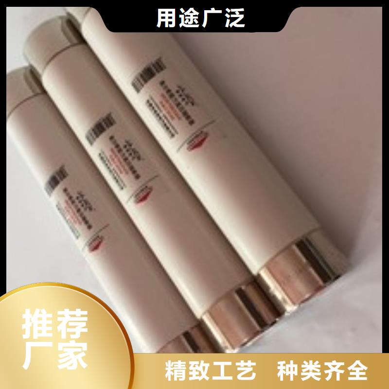 东方市XRNP-24KV/0.5A1A熔管高压保险丝熔断器