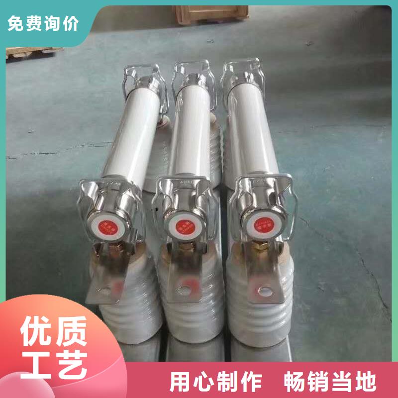 XRNP1-10/0.5A1A2A熔管高压保险丝型号价格