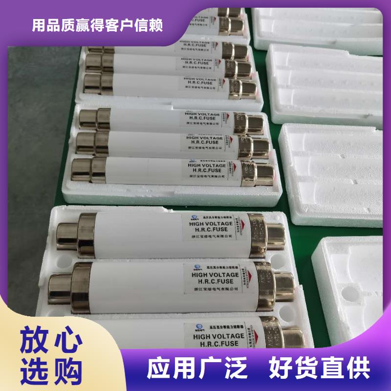 XRNP-7.2KV/0.51A2A高压保险丝型号价格