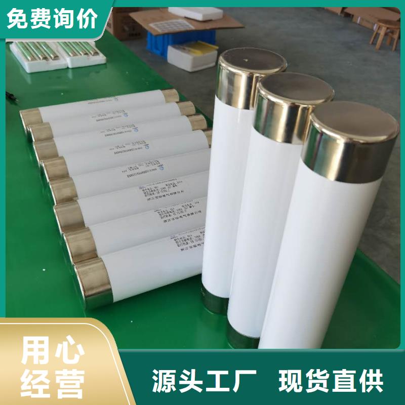 XRNP-7.2KV/0.51A2A高压保险丝型号价格