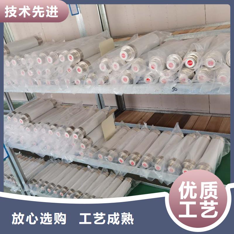 东方市XRNP-24KV/0.5A1A熔管高压保险丝熔断器