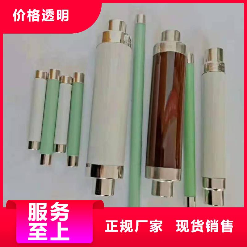 XRNP1-12/0.5A1A熔管高压保险丝熔断器