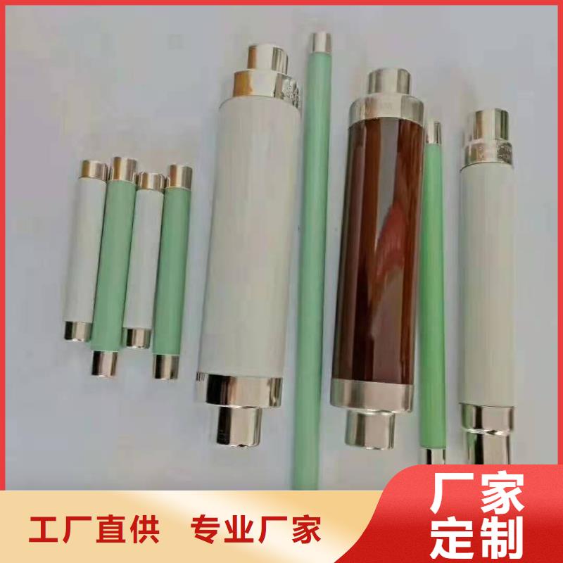 XRNP1-10/0.5A1A2A熔管高压保险丝型号价格