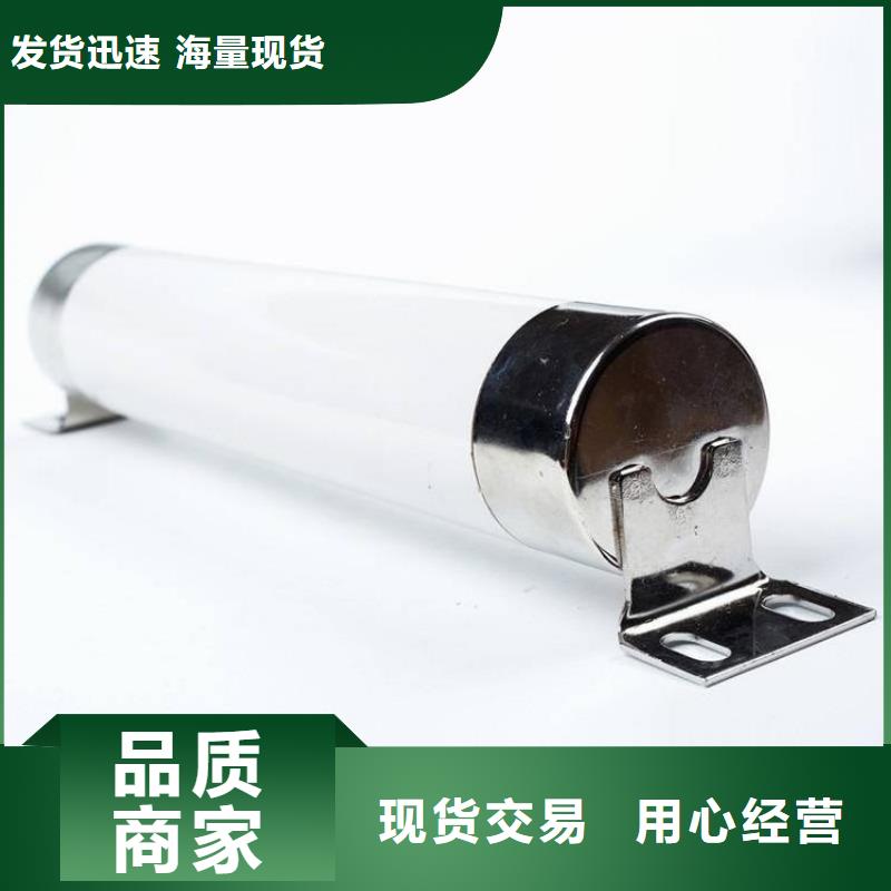 XRNP1-10/0.5A1A2A熔管高压保险丝型号价格