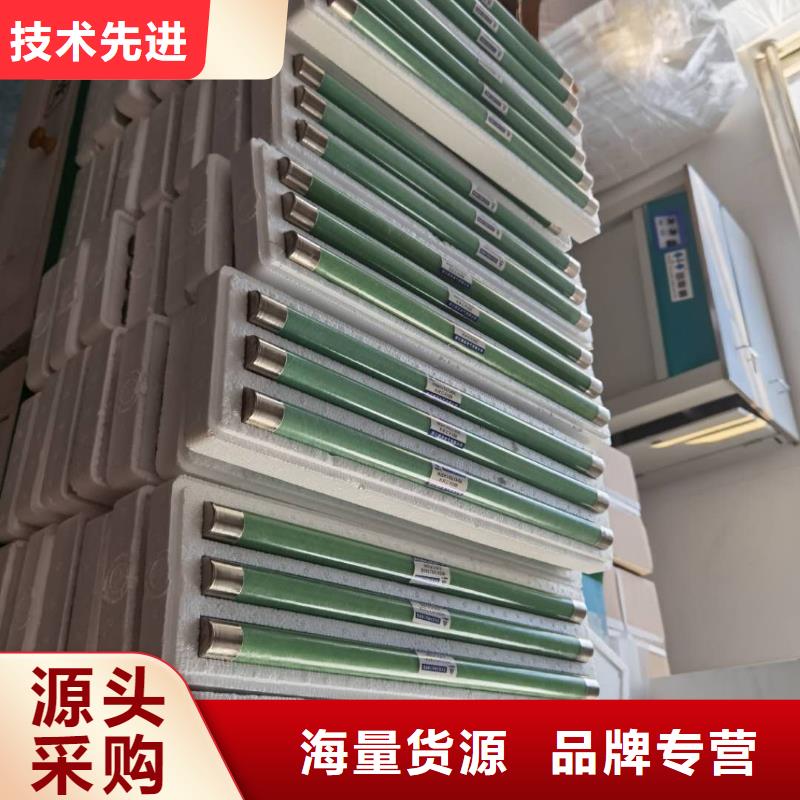 XRNP1-10/0.5A1A2A熔管高压保险丝型号价格