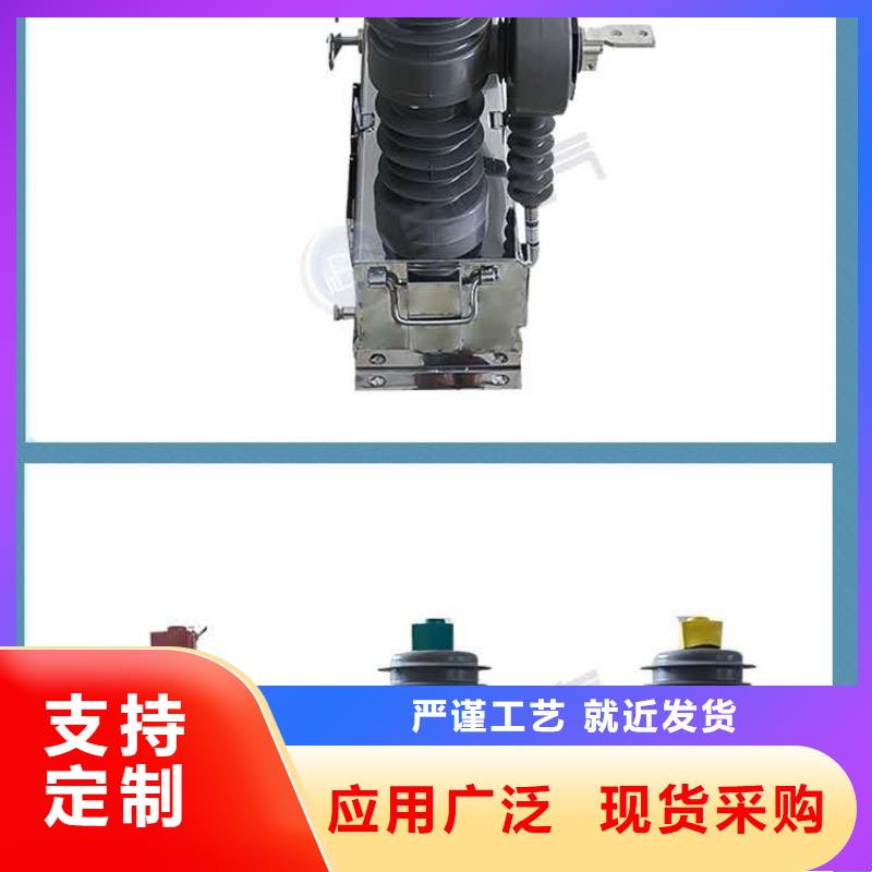 真空断路器,XRNP-10KV高压限流熔断器质优价廉