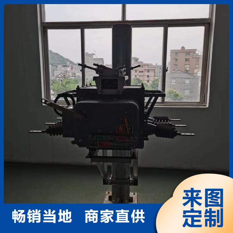 真空断路器,XRNP-10KV高压限流熔断器质优价廉