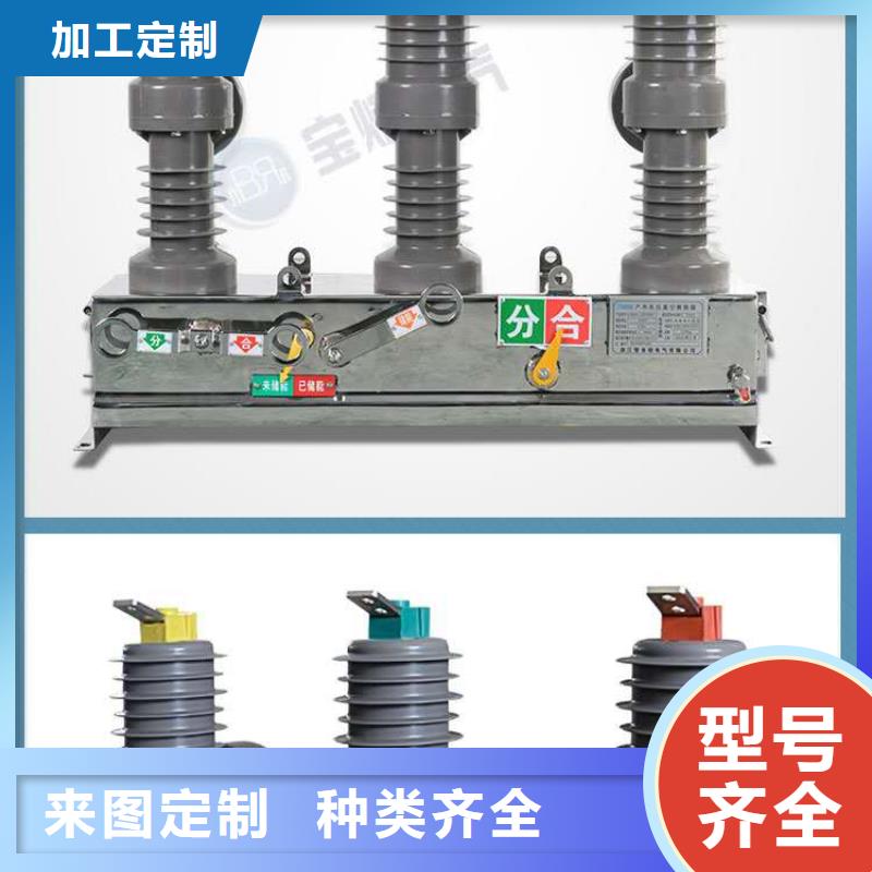 真空断路器,XRNP-10KV高压限流熔断器质优价廉