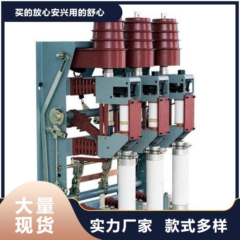 高压负荷开关BR-1双电源配电箱支持定制加工