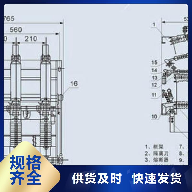 高压负荷开关BR-1双电源配电箱支持定制加工