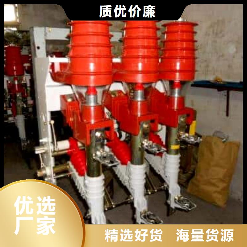 高压负荷开关BR-1双电源配电箱支持定制加工