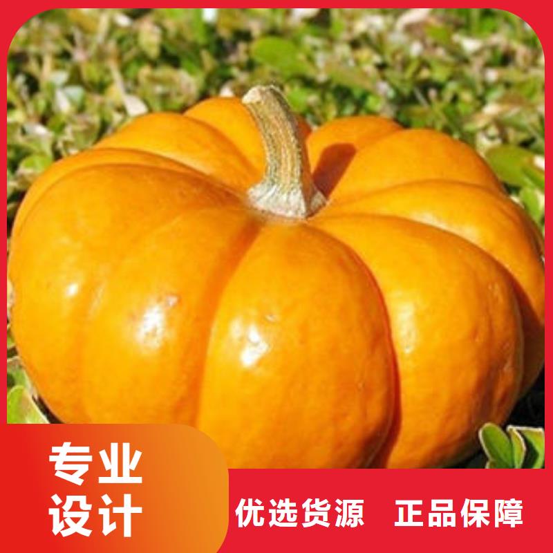 南瓜丁羽衣甘蓝粉打造行业品质