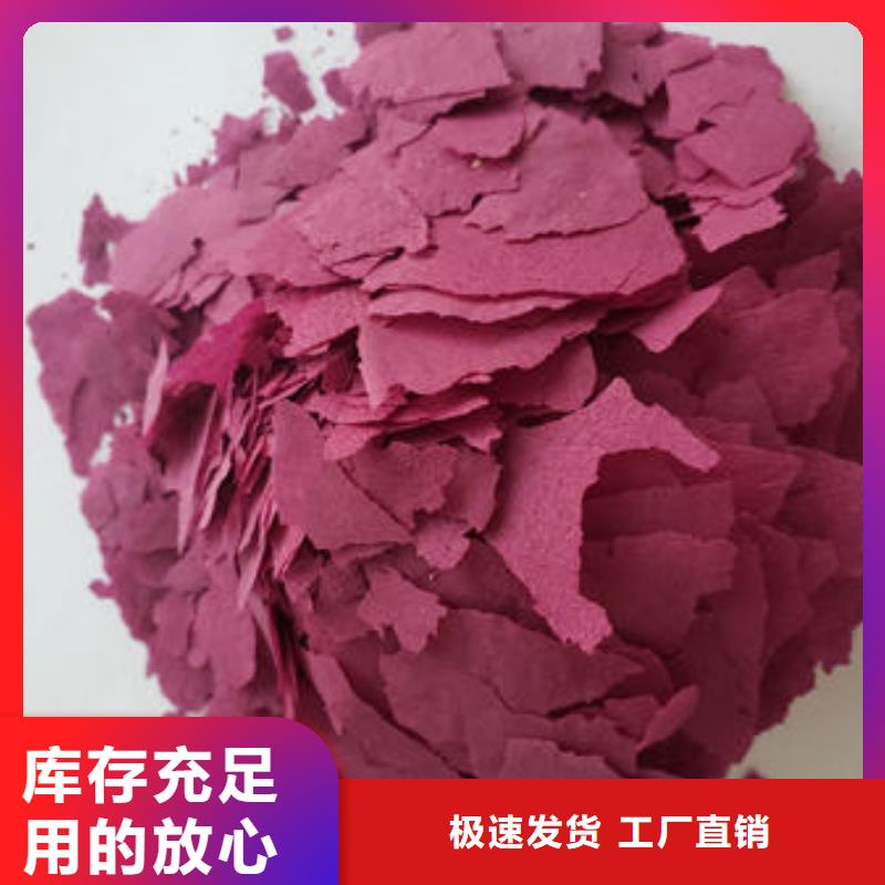 常年供应紫薯生粉-报量