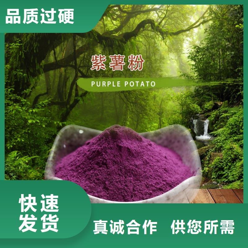 羽衣甘蓝粉视频-山东省东营市乐农羽衣甘蓝粉可服务区域垦利|河口|济南|淄博|临沂|青岛等