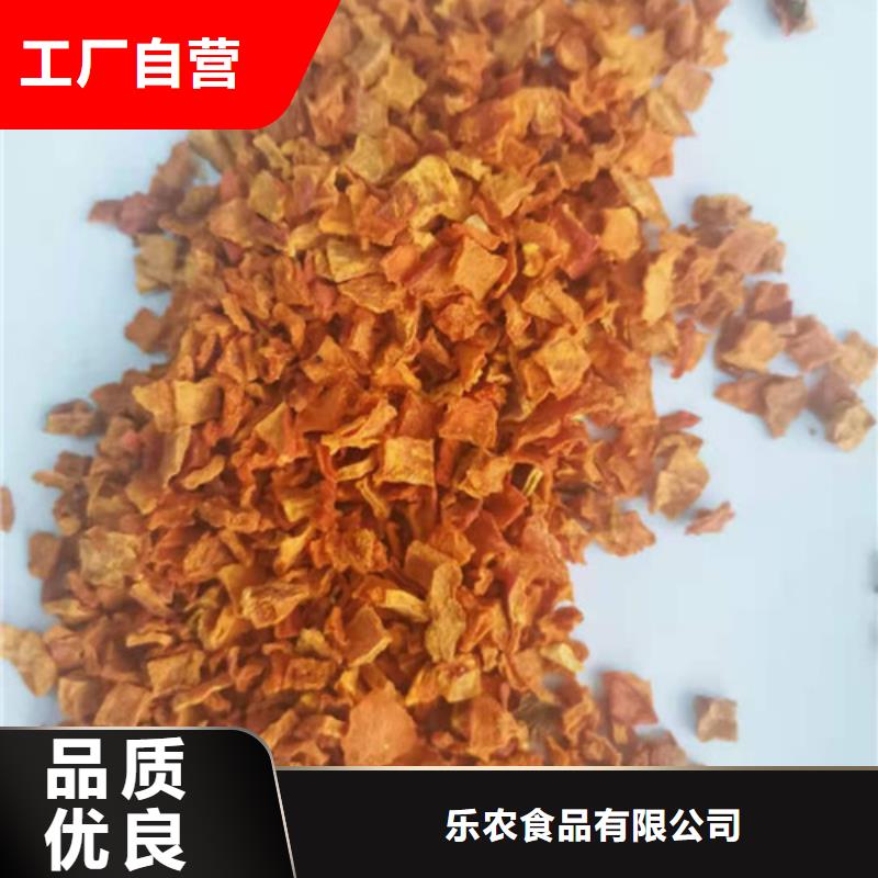 南瓜粒公司