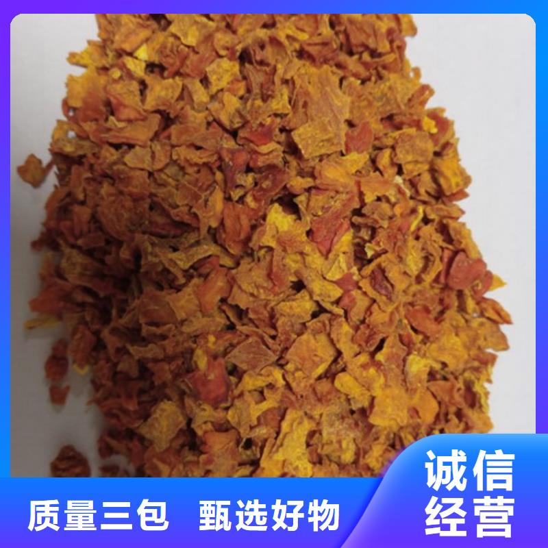 南瓜粒公司